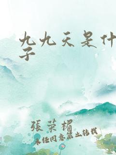 九九天是什么日子