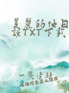 美丽的他日剧小说TXT下载