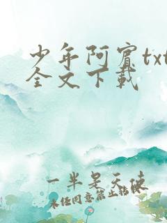 少年阿宾txt全文下载