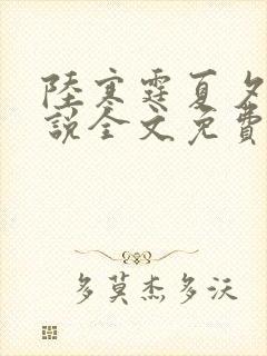 陆寒霆夏夕绾小说全文免费阅读落秋