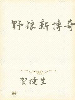 野狼新传奇