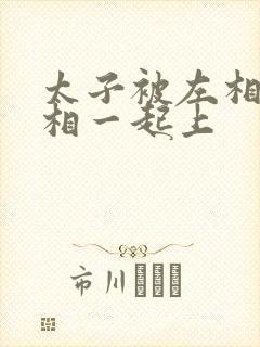 太子被左相和右相一起上