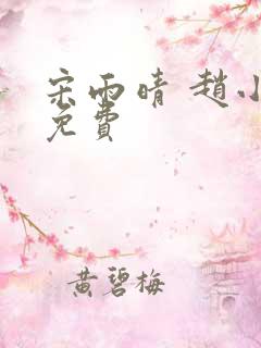 宋雨晴 赵小刚免费