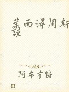 叶南浔周斯年小说
