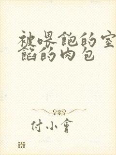 被喂饱的室友爆馅的肉包