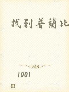 找到普兰比尔德