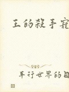 王的杀手宠妃