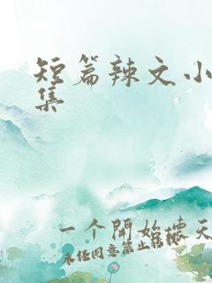 短篇辣文小说合集