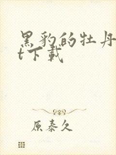 黑豹的牡丹txt下载