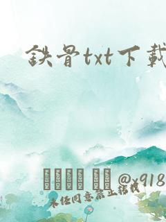 铁骨txt下载