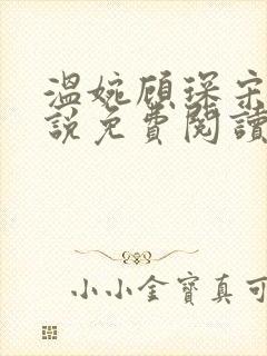 温婉顾琛宋芝小说免费阅读