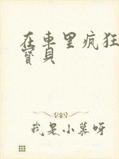 在车里疯狂挺进宝贝