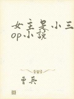 女主是小三的pop小说