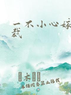 一不小心嫁给总裁