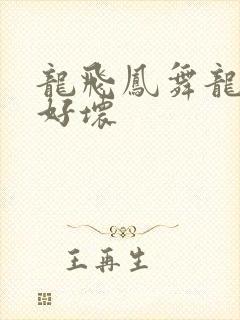 龙飞凤舞龙王你好坏