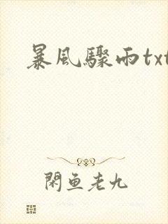 暴风骤雨txt