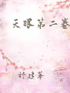 天眼第二卷