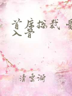 首席总裁 爱你入骨