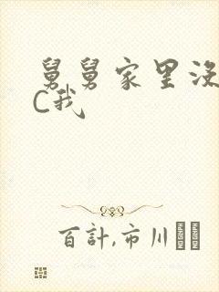 舅舅家里没人快C我