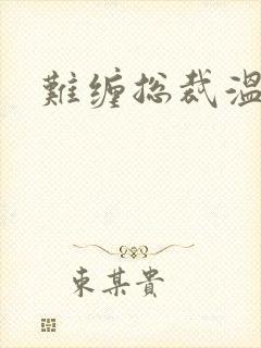 难缠总裁温柔爱