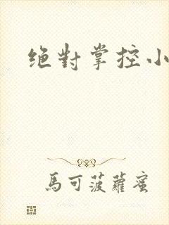 绝对掌控小说