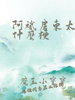 阿斌房东太太是什么梗