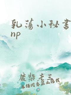 乳荡小秘书高干np
