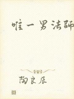 唯一男法师