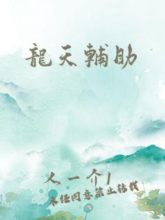 龙天辅助
