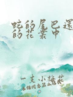 蛇的尾巴还在我的花丛中