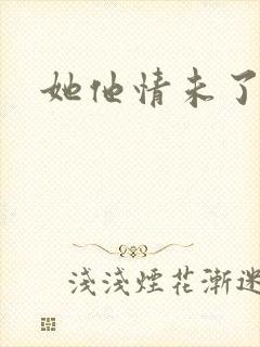 她他情未了