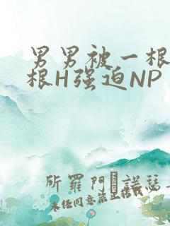 男男被一根又一根H强迫NP