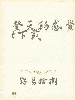登天的感觉txt下载