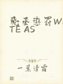 飞丞惩罚WRITE AS