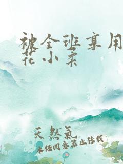 被全班享用的校花小柔