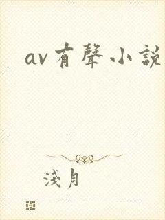 av有声小说