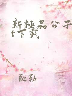 新极品公子txt下载