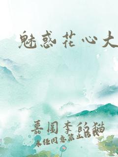 魅惑花心大少