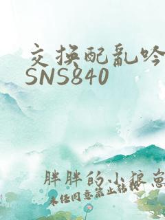 交换配乱吟粗大SNS840