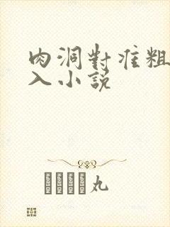 肉洞对准粗大坐入小说