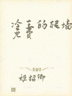 冷王的爬墙丑妃免费