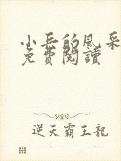 小兵的风采小说免费阅读