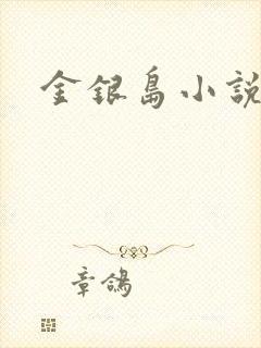 金银岛小说