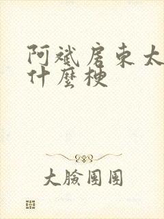 阿斌房东太太是什么梗