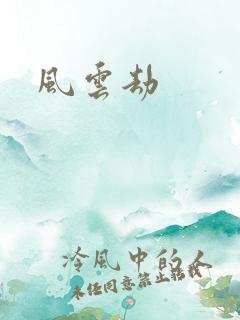 风云劫