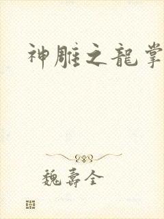 神雕之龙掌门