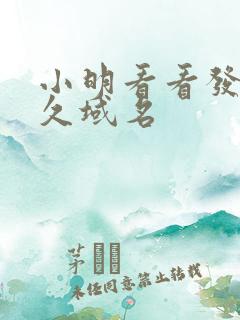 小明看看发布永久域名