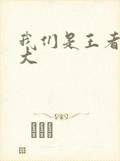 我们是王者立海大