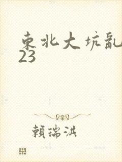 东北大坑乱1—23