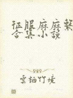 征服麻麻系列大合集小说